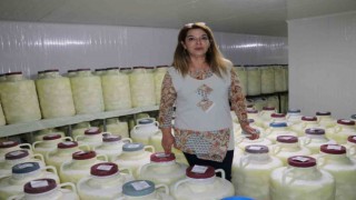 Vanın otlu peynirine babasının ismini verdi