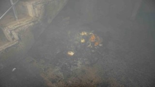 Yanan karton ve kağıtlar apartmanda paniğe neden oldu