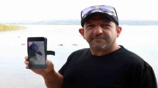 Yunus balığına fısıldayan adam