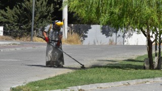 Yunusemreden yeşil alanlarda bakım çalışması