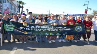 18. Ayvalık Uluslararası Zeytin Hasat Festivali başladı