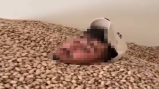 2 ton fıstığa el konuldu