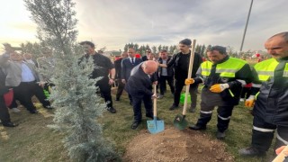 6 Şubat depremlerinde hayatını kaybeden KKTC vatandaşları anısına fidanlar dikildi
