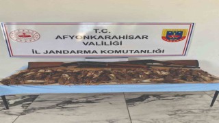 77 bıldırcını kaçak avlayan iki kişiyi jandarma yakaladı