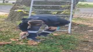Ağaçta mahsur kalan kediyi ekipler kurtardı