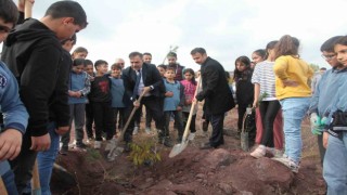 Ahlatta 2023 fidan dikildi