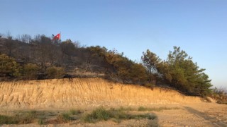 Aksuda çıkan orman yangını söndürüldü