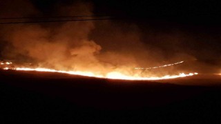 Alacada anız yangını