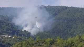 Alanya'da orman yangını
