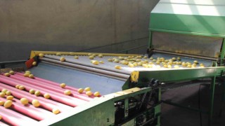 Almanyanın limonu Kozandan