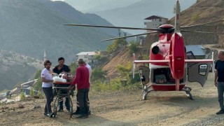 Ambulans helikopter, Çüngüşte ağaçtan düşen 82 yaşındaki Mevlüt amca için havalandı