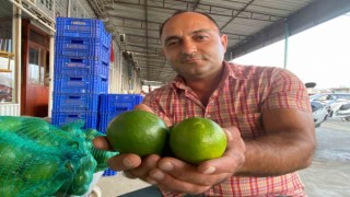 Antalyada halde limon 3 TLye kadar düştü