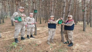 Ardahanda ormana 20 adet kuş kafesi konuldu