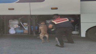 Aydında jandarma ekipleri düzensiz göçe geçit vermiyor