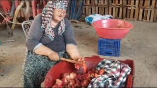 Aydında kış hazırlıkları narların kaynatılmasıyla başladı