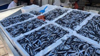 Balık fiyatları arttı, vatandaşlar ilgi göstermedi