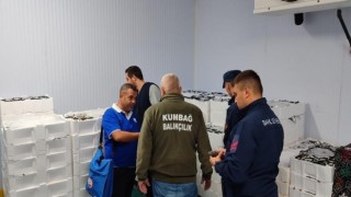 Balıkçılara eş zamanlı denetim