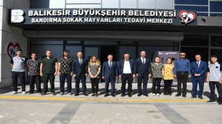 Bandırmada yüzlerce sokak hayvanına şifa oldu