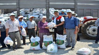 Başarılı kekik üreticilerine belge ve organik gübreleri dağıtıldı