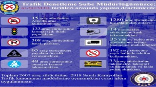 Bingölde 2 bin 607 araç sürücüsüne cezai işlem uygulandı