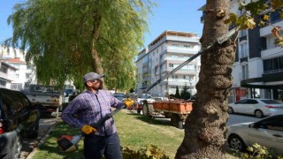 Bozüyükte yeşil alanlarda çalışmalar devam ediyor