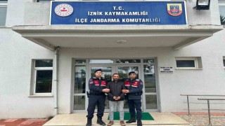 Bursada kaçak kazı yapan şüphelilere jandarma baskını: 5 gözaltı