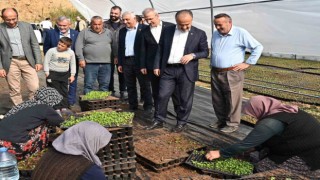 Bursanın çiçekleri, dağ bölgesinde açıyor