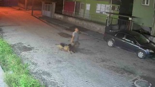 Köpek çalan şahsı polis kıskıvrak yakaladı