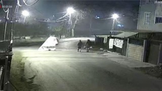 Çalınan halısını kameradan izleyerek buldu