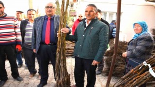 Çamelinde ceviz üretimini artırmak için fidan desteği verilecek