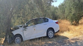 Çanakkalede otomobil zeytin ağacına çarptı: 1 ölü, 1 yaralı