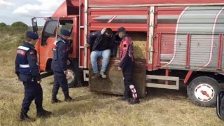 Çanakkalede saman balyaları arasına gizlenmiş 27 kaçak göçmen yakalandı