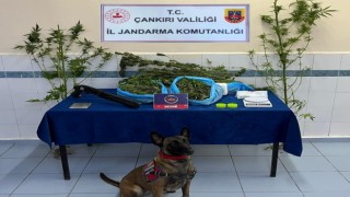 Çankırıda polis ve jandarma ekiplerinden denetim