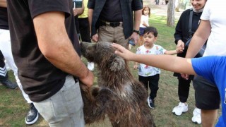 Çekmeköyde yavru ayı Liva banyo yaptı, vatandaşlar ilgiyle izledi