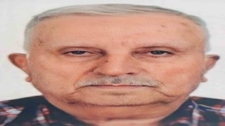 Ceviz ağacından düşen adam öldü