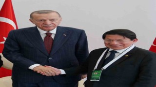 Cumhurbaşkanı Erdoğan, Nikaragua Dışişleri Bakanı Colindresi kabul etti