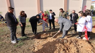 Cumhuriyetin 100. yılı için fidanlar toprakla buluştu
