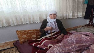 Cumhuriyetle yaşıt asırlık çınarın gözünden 100. yıl