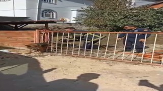 Demir kapıya sıkışan köpeği itfaiye kurtardı