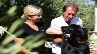 Depremde kaybettikleri köpeklerinin tesellisini ‘Gecede buldular