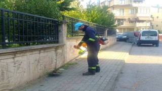 Derincede temizlik mesaisi