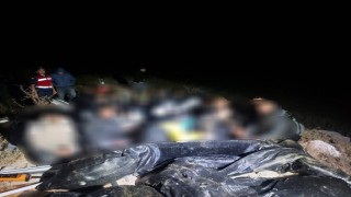 Didimde 26 düzensiz göçmen yakalandı