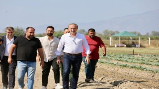 Didimde kış sebzelerinin ekimine başlandı