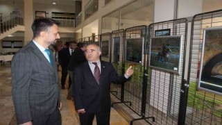 Dijital sanat ile geleneksel sanat tek tabloda birleşti