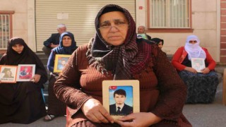 Diyarbakır anneleri bin 510 gündür evlat nöbetinde