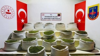 Diyarbakırda 1 ton 354 kilo esrar, 122 bin uyuşturucu bitkisi ele geçirildi