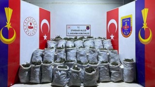 Diyarbakırda 10 bin kök kenevir ve 202 kilo esrar ele geçirildi