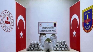 Diyarbakırda 103 kilo esrar ele geçirildi: 2 gözaltı