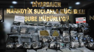 Diyarbakırda 303 kilo skunk ele geçirildi