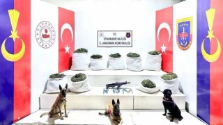 Diyarbakırda 364,5 kilo uyuşturucu ile 150 bin kök skunk bitkisi ele geçirildi